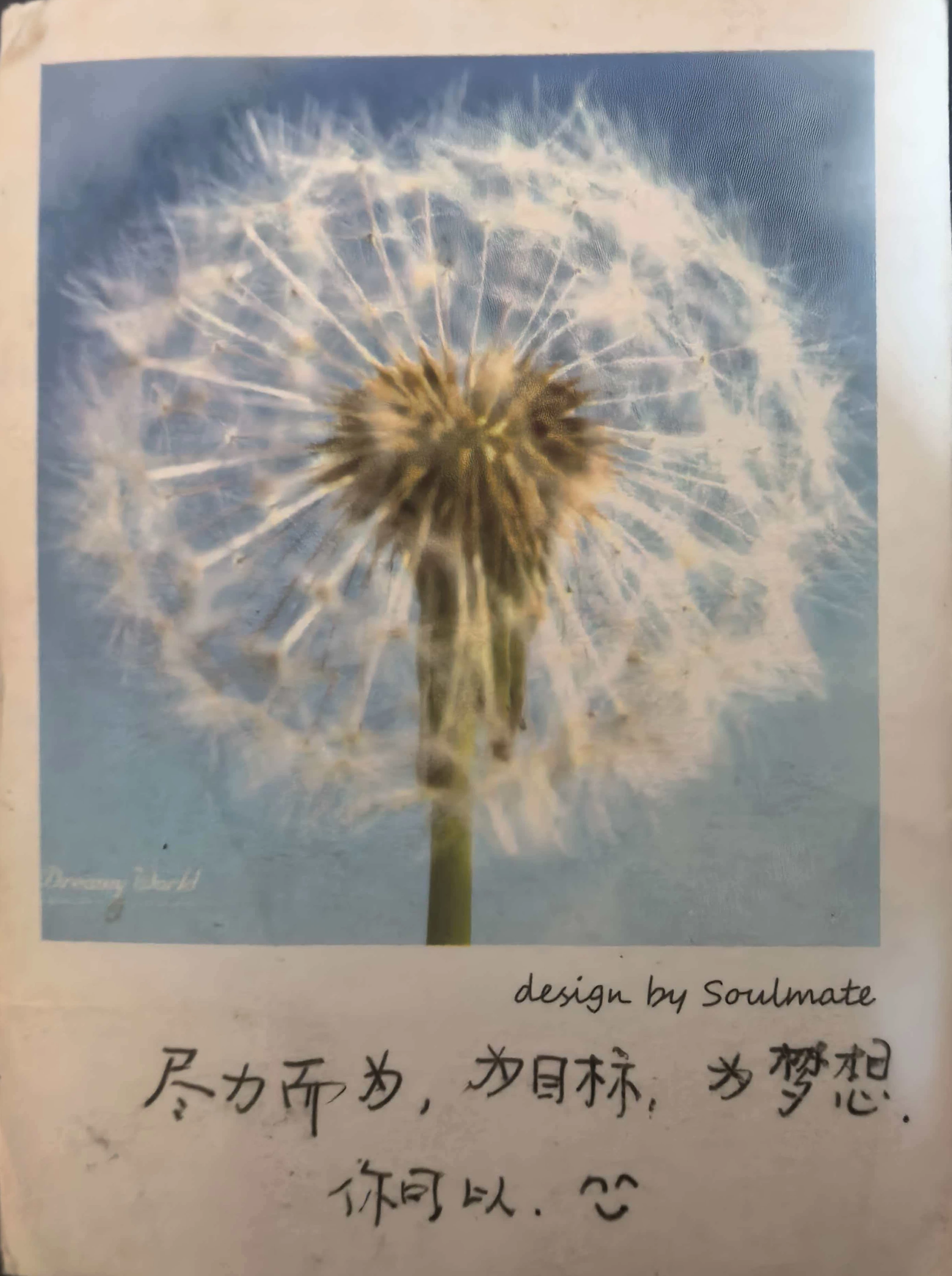 Ximages/picture20251108 1.webp|400